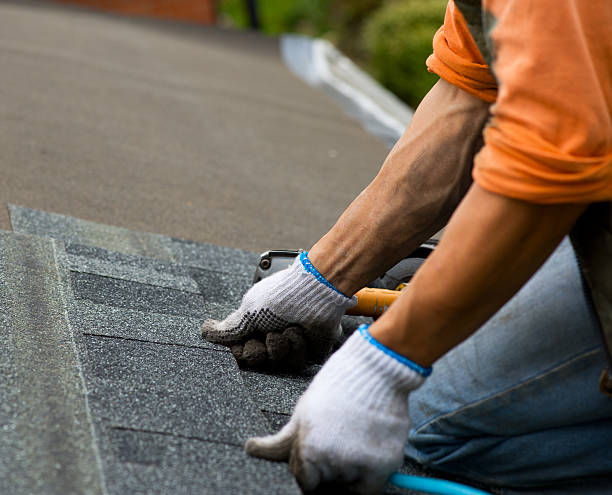 Best Roof Gutter Cleaning  in Hanover, IN